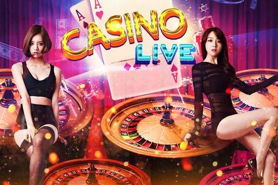 Dragon betting app Welcome Bonus